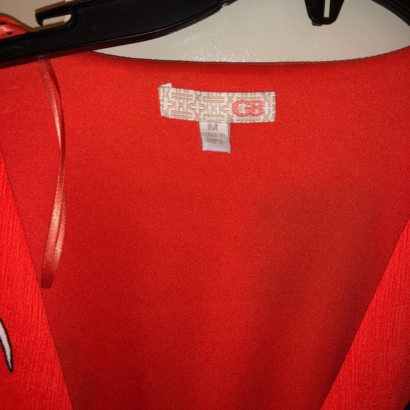 Dress - Picture 2 of 2